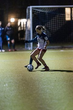 Bild 484 - F SC Alstertal-Langenhorn - Hamburger SV 3 : Ergebnis: 2:2